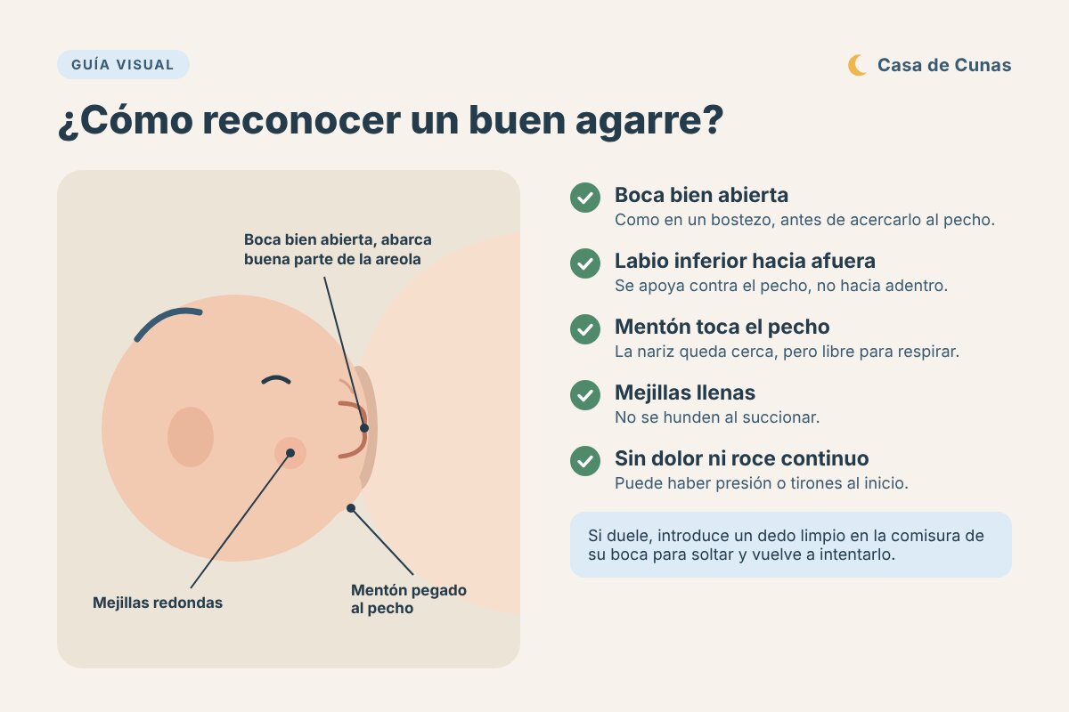 Ilustración de un bebé de perfil con buen agarre al pecho y lista de señales: boca bien abierta, labio inferior hacia afuera, mentón que toca el pecho, mejillas llenas y ausencia de dolor.