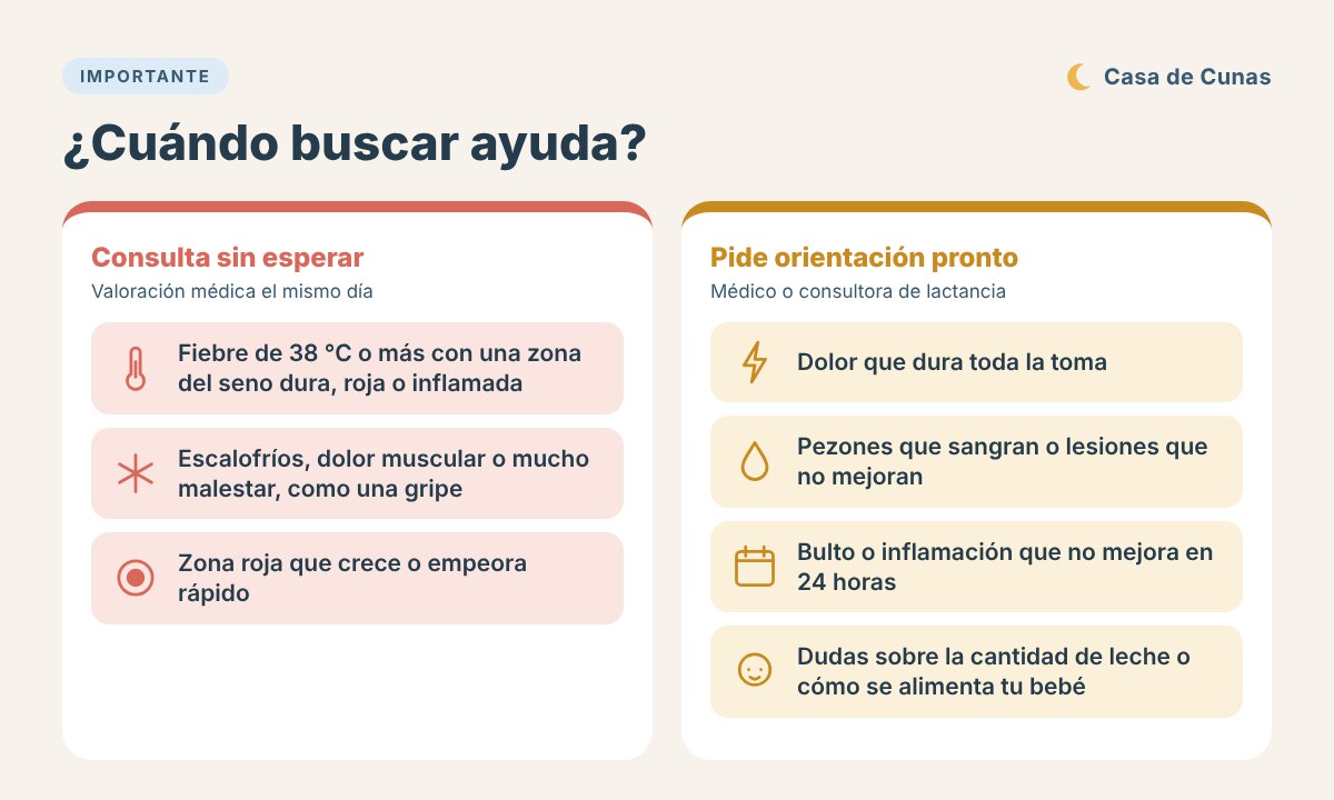 Infografía sobre cuándo buscar ayuda en la lactancia: consultar sin esperar ante fiebre de 38 °C o más con zona del seno roja o dura, escalofríos o malestar intenso; pedir orientación pronto ante dolor en toda la toma, pezones que sangran, bulto que no mejora o dudas sobre la cantidad de leche.